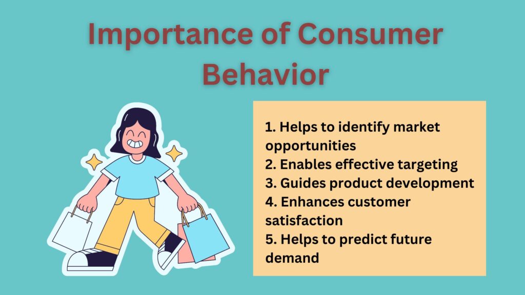 What Makes Kiwis Click? Understanding Consumer Behaviour in NZ's Digital Space